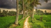 Journey to health and wellness – where to begin