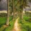 Journey to health and wellness – where to begin