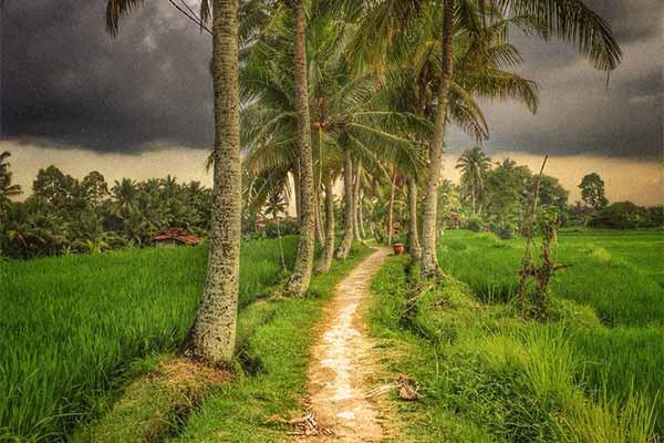 Journey to health and wellness – where to begin